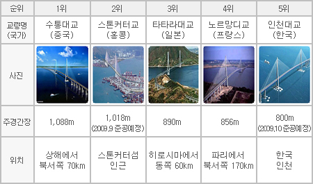 세계의 사장교 순위