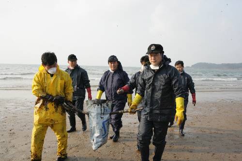 태안 기름제거 자원봉사 활동(2007/12/18)