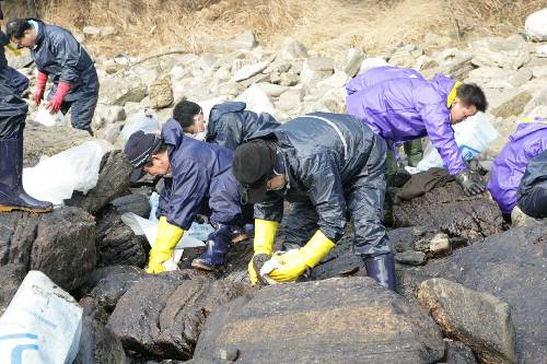태안 기름제거 자원봉사 활동(2007/12/18) - 포토이미지