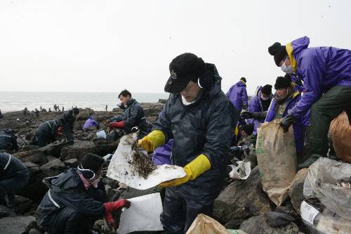 태안 기름제거 자원봉사 활동(2007/12/18) - 포토이미지