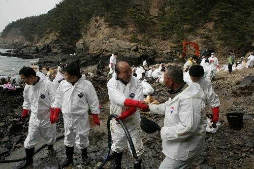 태안 기름제거 봉사활동 (2008/03/03) - 포토이미지