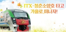[카드뉴스] ITX-청춘소양호 타고 강원도로 가을 여행 떠나자!