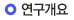 연구개요