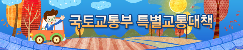 국토교통부 특별교통대책