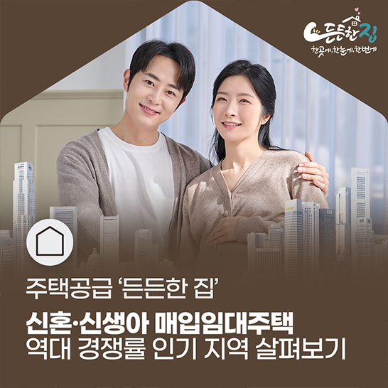 기획기사