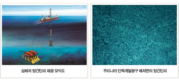 망간단괴