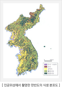 인공위성에서 촬영한 한반도의 식생 분포도