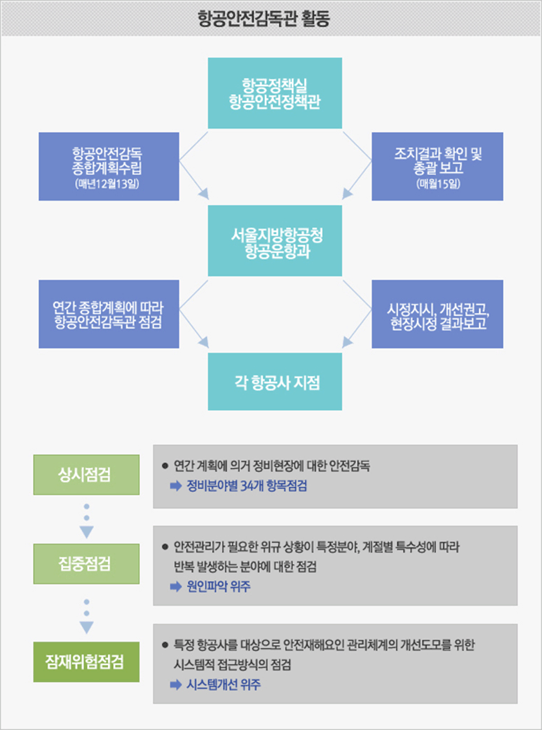 항공안전감독관 활동