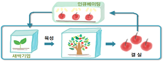 창업‧벤처 새싹기업 육성