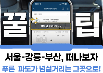 서울-강릉-부산, 떠나보자 푸른 바다 파도가 넘실거리는 그곳