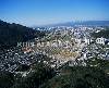 경북경산