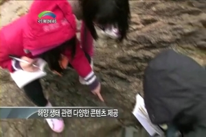 해양생태계에 대한 모든 정보가 있습니다