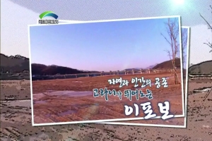 자연과 인간의 공존 고라니가 뛰어노는 이포보