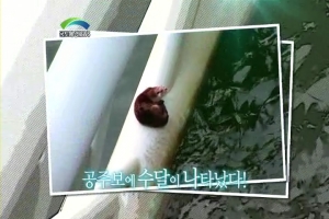 자연과 인간이 공존하는 4대강