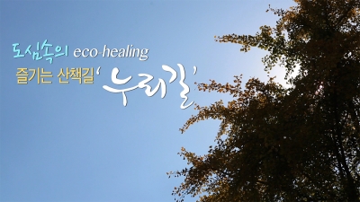 도심속의 eco-healing '누리길'(3m)