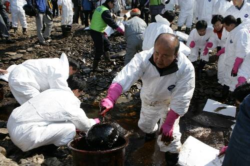 총리와 함께 태안 기름제거 봉사활동 (2008/03/06) - 포토이미지