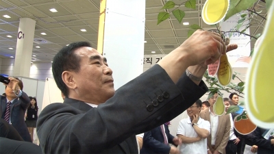 2015 공직박람회