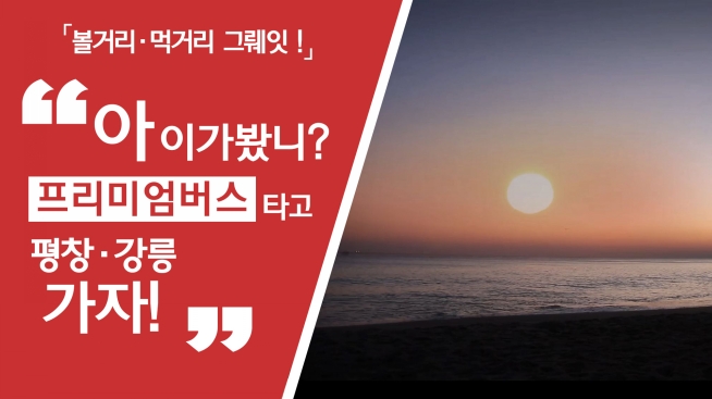 프리미엄버스타고 강릉가자